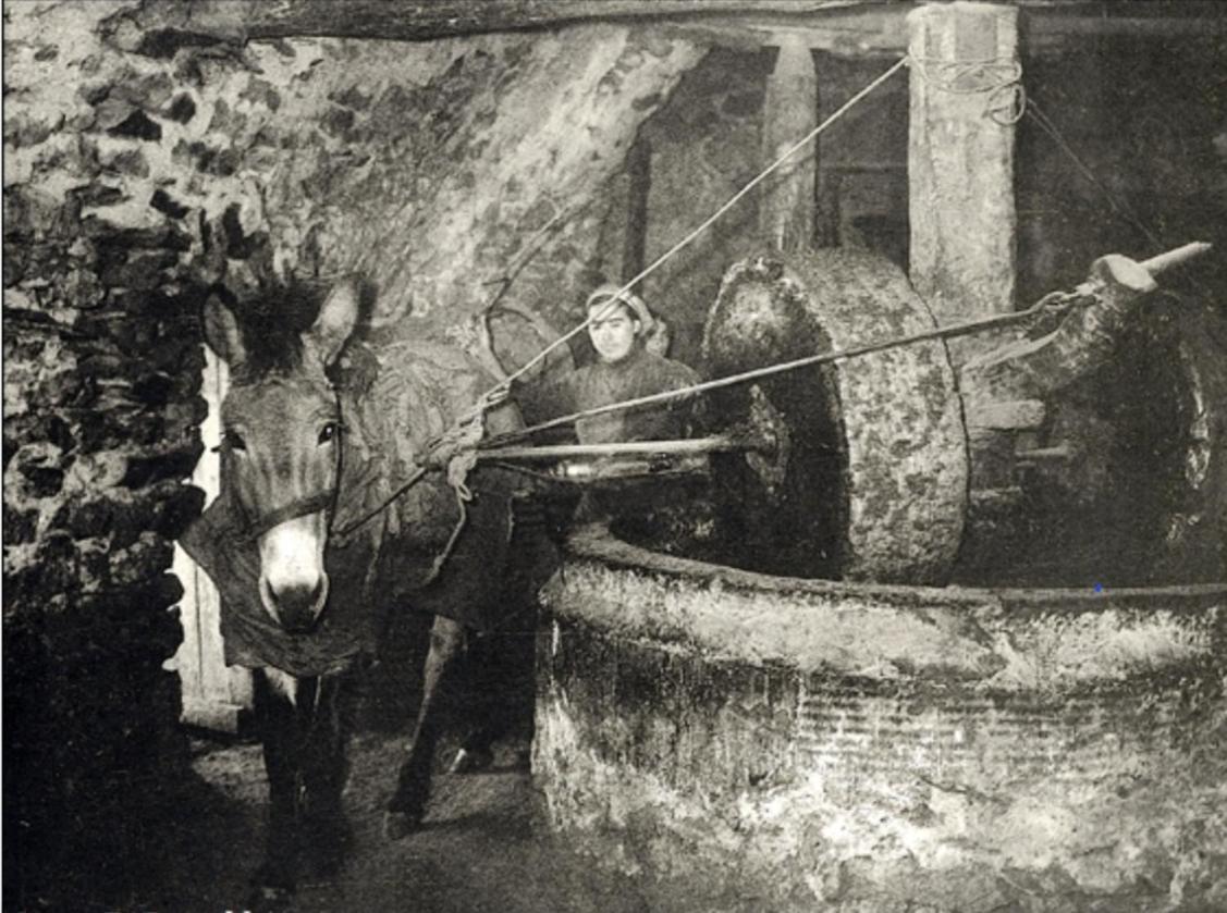 Апартаменты Olive Oil Mill Kokkala Экстерьер фото